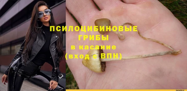 apvp Вязники