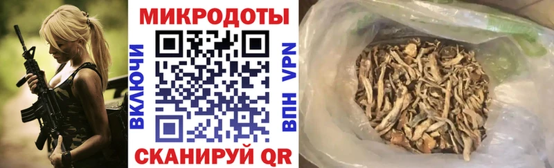 Галлюциногенные грибы Psilocybe  Галич 