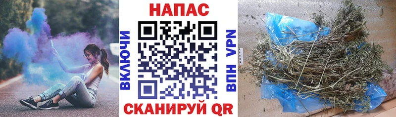 Конопля OG Kush Галич